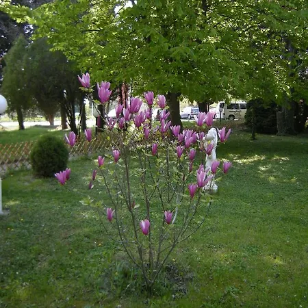 Park Persey 3* Βάρνα